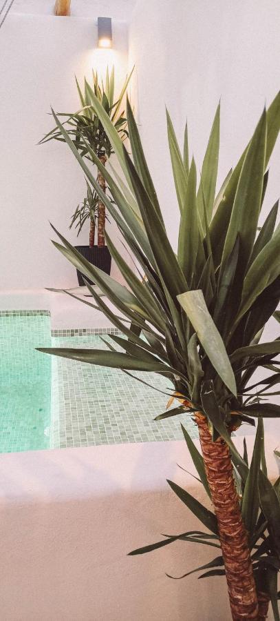 With Private Pool Appartement Ronda